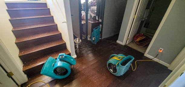 Best Sewage cleanup and water damage restoration  in Spring Mount, PA