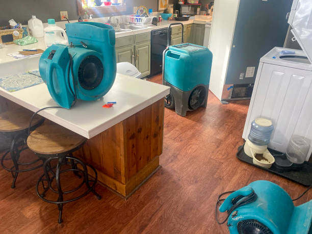 Best Water damage restoration experts  in Spring Mount, PA