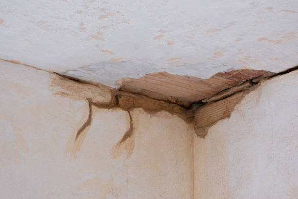 Best Mold removal after water damage  in Spring Mount, PA