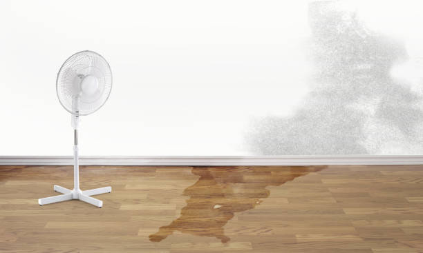 Professional Water damage restoration in Spring Mount, PA